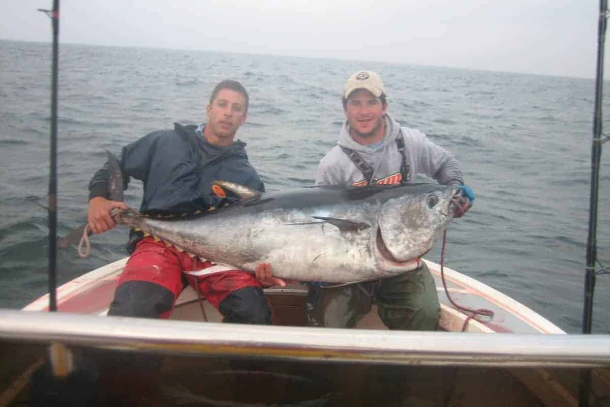 STRIPED BASS FISHING MONATUK NY