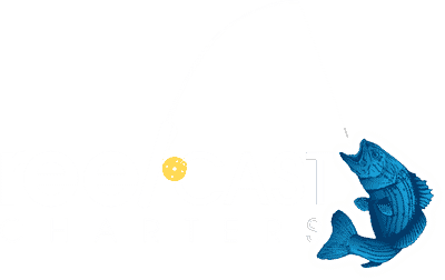 Reel Cast Charter Apparel - Purchase Fishing Charter Shirts